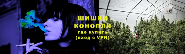 сатива Михайловск